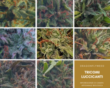Carica l&#39;immagine nel visualizzatore di Gallery, MIX DEGUSTAZIONE 8g

